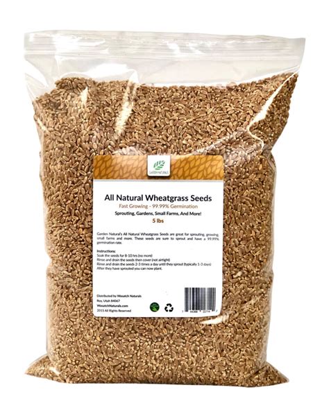 All Natural Wheatgrass Seeds - Wasatch Naturals