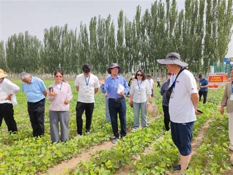 培训赋能提素质，农业技术促振兴—2024年新疆农业质量协会第一期基层农技推广人员能力提升培训班圆满举办 新疆维吾尔自治区科学技术协会