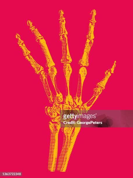 54 Reaching Skeleton Hand Stock Photos High Res Pictures And Images