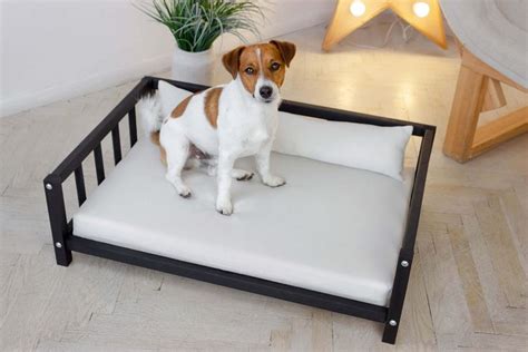 Comfortbale Dog Bed Modern Dog Bed Dog Pillow for Your Pet - Etsy | Dog ...