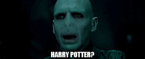 Voldemort Xd Harry Potter Vs Twilight Photo 19484090 Fanpop