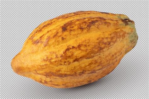 Frutos Maduros De Cacao Aislado Sobre Fondo Blanco Archivo Psd Premium