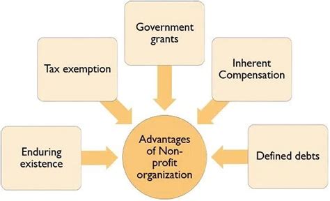 Learn About Non Profit Organizations Meaning, Examples and Types