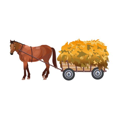 Horse Pulling Wagon stock vectors - iStock