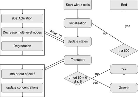 Flow Chart Iteration Over Updating Of States Transport And At