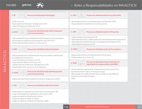 Roles Y Responsabilidades En Maagticsi Ipmoguide