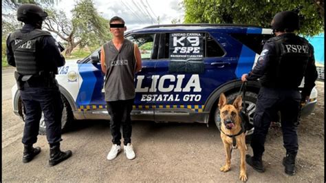 DETECTA AGENTE CANINO A LEONÉS CON DROGA Kuali