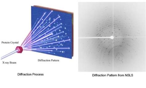 Research: Protein Crystallography: D i f f r a c t i o n