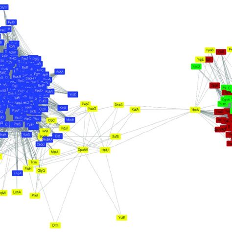 Heatmap Visualization Of The Protein Expression Profiles A And