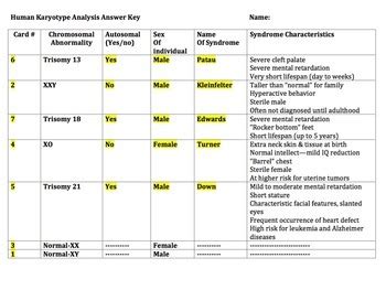 Human Karyotype Analysis Activity by Bio4U High School Biology | TPT