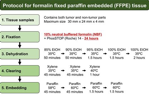 Formalin Fixed Paraffin Embedded Sample Conditions For Deep Next Generation Sequencing Journal