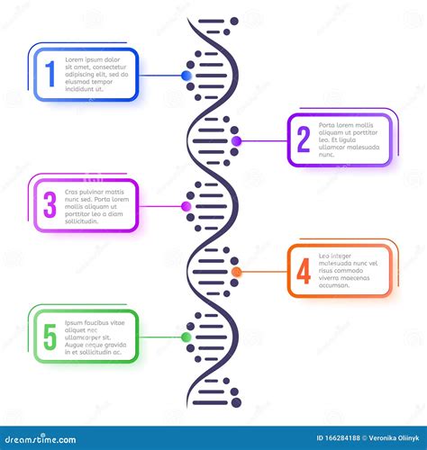 Concept De Mol Cule D Adn Diagramme Abstrait Sch Ma Scientifique De La