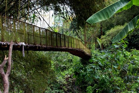 Kondisi Jembatan Gantung Di Pedalaman Aceh Besar