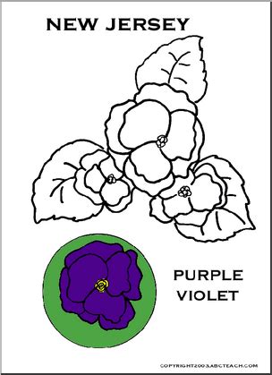 New Jersey: State Flower - Common Meadow Violet | Abcteach