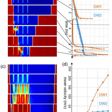 Ferroelastic Domains And Their Interaction With Grain Boundaries A