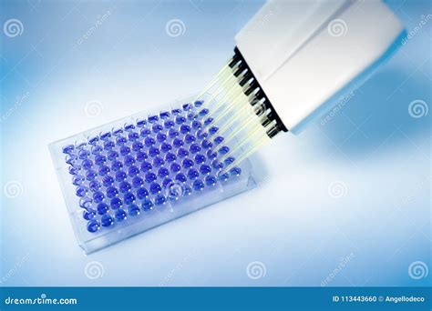 Multichannel Pipette And Microplate With 96 Wells In The Lab Stock