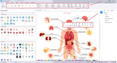 Digestive System Diagram Complete Guide Edrawmax 2024