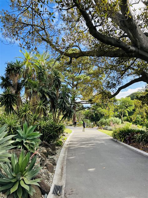 Visiting The Incredible Royal Botanic Gardens In Melbourne Chars