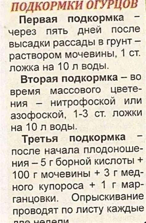 Дачники. Запись со стены. в 2024 г | Идеи посадки растений, Выращивание ...