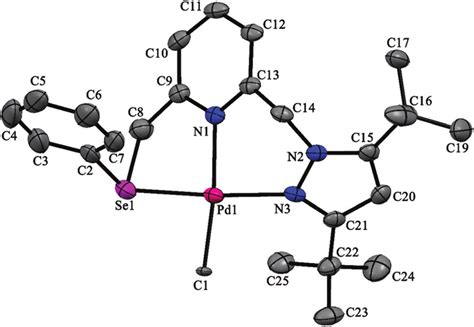 Molecular Structure Of Pd N Pz N Py Se L Ch Bar B