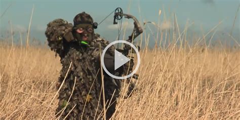 Vid O Chasse Aux Sangliers L Arc En Bordure De Loire Lors D Une