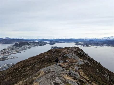 Best Bird Watching Trails in Ålesund | AllTrails