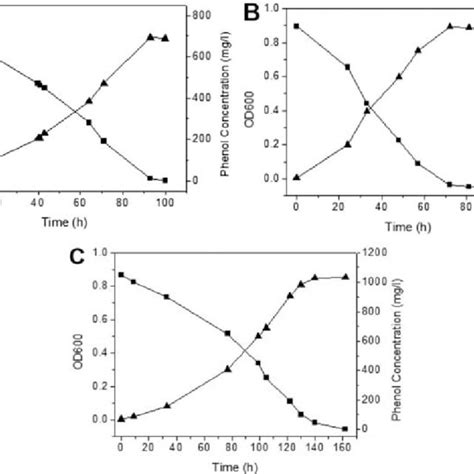 Phenol Degradation Pathway The Enzymes Involved In First Two Steps Of Download Scientific