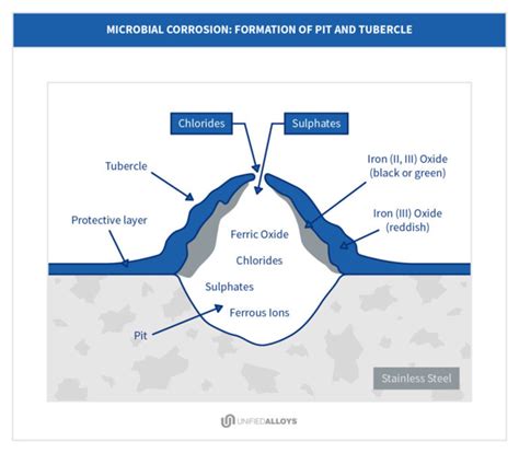 How Tiny Bacteria Can Create Big Problems Microbial Corrosion
