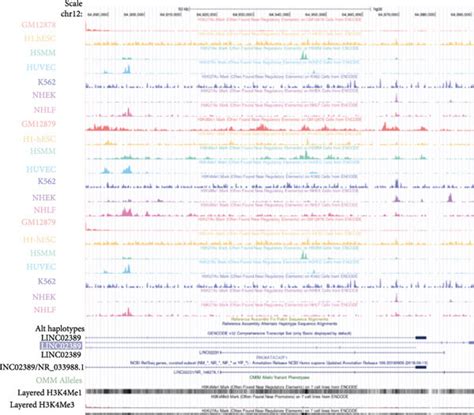 A Cck Assay To Evaluate The Ic Of A And A R Cisplatin