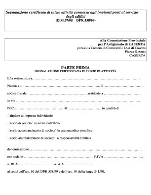 Compilabile Online Ce Camcom Segnalazione Certificata Di Inizio Attivit