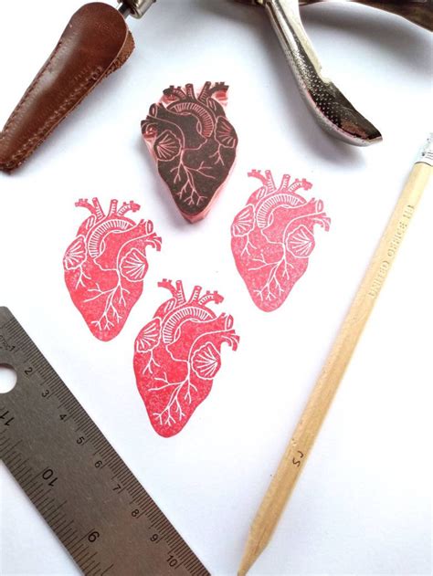 Anatomical Heart Rubber Stamp Etsy