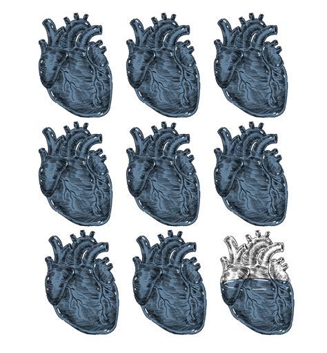 Activists explain why we must free the dogs from bad conditions