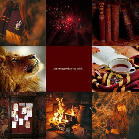 Gryffindor Aesthetic Hogwarts Harry Potter Aesthetics