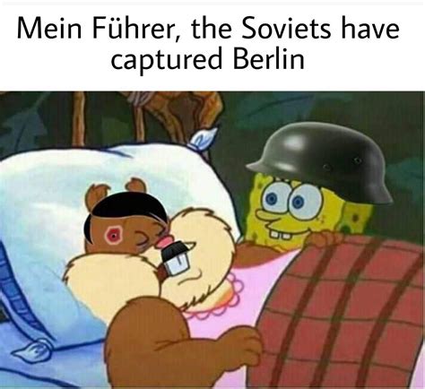 Mein Fuhrer : r/HistoryMemes