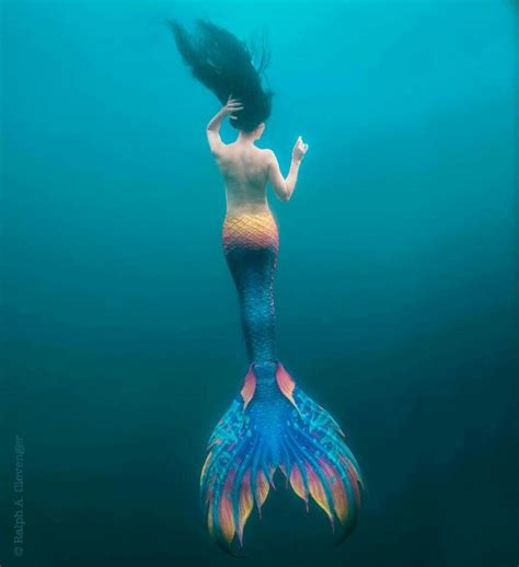 Albums 102 Pictures Show Me Pictures Of Real Life Mermaids Superb