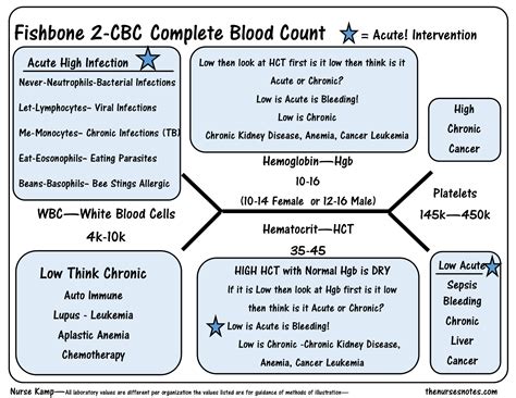 This is the 2nd Fishbone overview of the CBC Complete Blood Count diagram explaining the ...