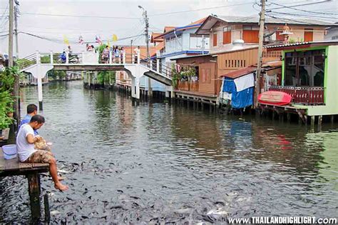 Morning Canal Tour Longtails Boat Klong Tour Bangkok Thonburi Side