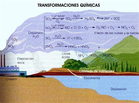 El Agua Trae Vida La Lluvia Ácida Y Sus Consecuencias