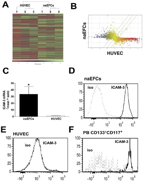 Gene Expression Analysis Of Naefcs Versus Huvec In A A Heat Map