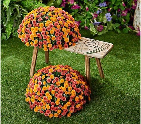 Wicker Park Single 16 Faux Mum Indoor Outdoor Garden Sphere QVC