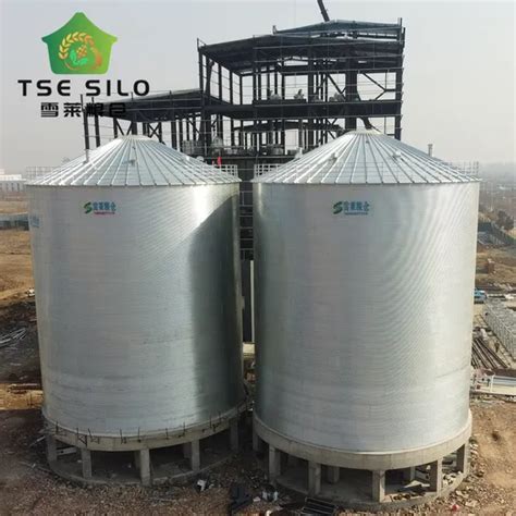 Flat Bottom Silos 1000 10000 Tons Assembly Galvanized Steel Silo