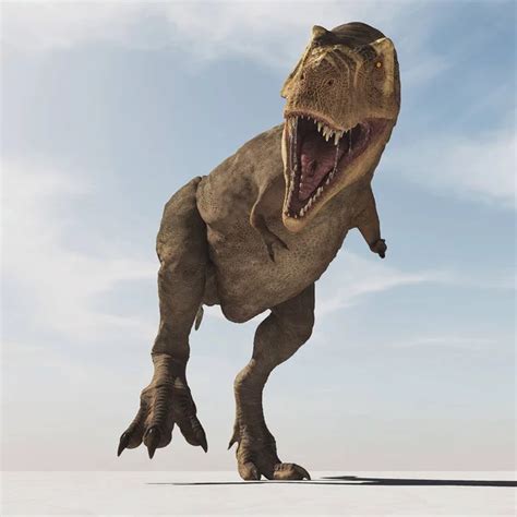 Tyrannosaurus Rex White Background Render Illustration Stock Photo By