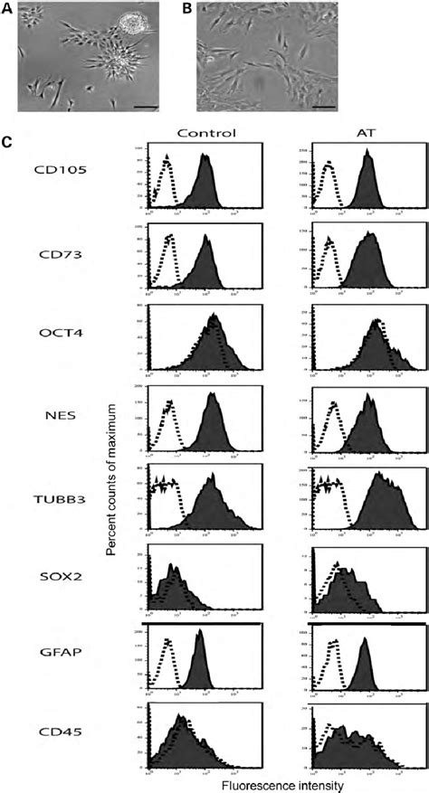 Figure From A Patient Derived Olfactory Stem Cell Disease Model For