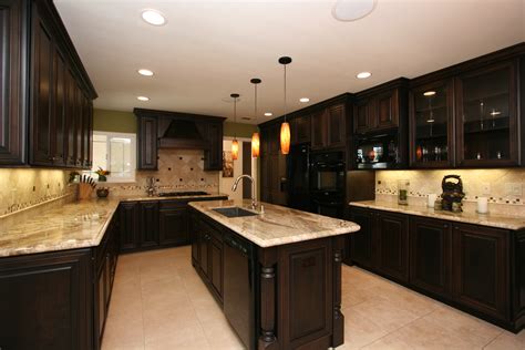 The Vampire Equipment’s: Dark Kitchen Cabinets | MYKITCHENINTERIOR