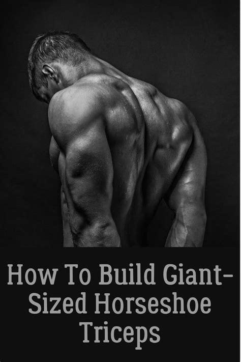 How To Build Giant Sized Horseshoe Triceps Muscle Building Workouts