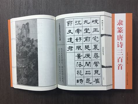 正大筆莊 《隸篆唐詩三百首》 田英章 楊再春 字帖 書法 隸書 唐詩 田英章 篆書 隸書 唐詩三百首 天津人民美術出版社