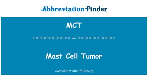 Mct Significa Tumor De Mastocitos Mast Cell Tumor