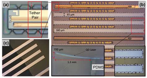 Figure 1 From Integration Of Edge Emitting Quantum Dot Lasers With