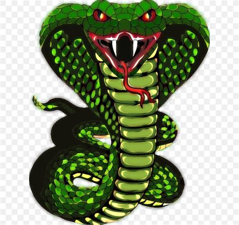 Snakes Reptile Vipers King Cobra Clip Art PNG 620x775px Snakes