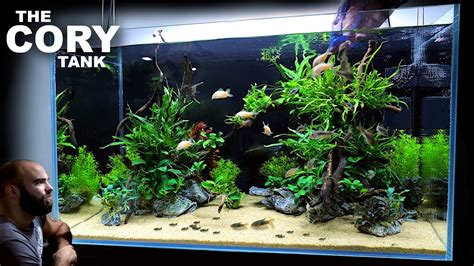 The Cory Tank EPIC 3ft Aquascape Tutorial YouTube